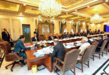 Power scam report to be made public, cabinet decides