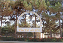 SAARC CCI: BHC approves replacement of one male member with female Balochistan High Court