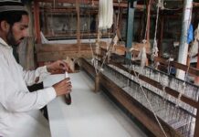 Govt urged to restore description of greenfield industry Cottage industry