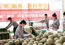 Eating in the coronavirus era: global food security in question Food industry