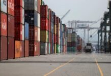 Global trade will plunge by up to a third in 2020 amid pandemic: WTO Global trade