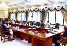 PM apprised of issues concerning telecom industry Imran Khan-meeting