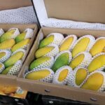 Mangoes
