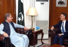 Completing CPEC govt’s top priority, FM tells China Pakistan-China