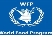 Coronavirus has so far little impact on global food supply chain: UN agency
