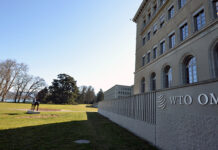 Tourism may revive global economy after coronavirus: WTO WTO