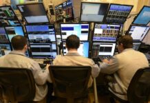 Can local financial data service providers compete with Bloomberg?