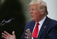 Trump set to order review of law that protects social media companies