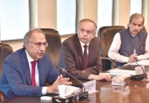 Govt plans to boost health, social sectors in upcoming budget Hafeez Shaikh-Razak Dawood