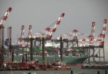 World’s biggest shipper expects 25pc drop in container demand Shipping