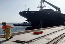 First cargo ship carrying wheat, urea reaches Gwadar: Asim