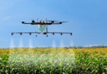 ‘Spray and Survey’ strategy deployed against locust swarms