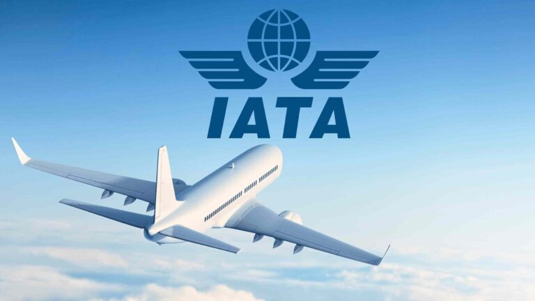 Airlines heading for $84 billion loss this year: IATA