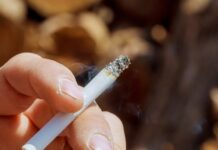 FBR confiscates non-duty paid cigarettes worth Rs3.1m