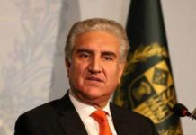 Qureshi defends dual nationalities of SAPMs