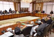 Cabinet likely to approve appointment of USF CEO