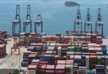 Chinese ports hit capacity as virus tests slow clearing