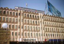 Horticulture exporters oppose shifting of FPCCI headquarters to Islamabad