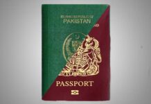 Four SAPMs are dual nationals, three hold foreign residency