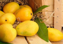 Pakistan surpasses mango export target by 45,000 tonnes despite Covid-19