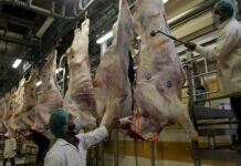 Pakistani exporters urged to tap China’s meat market