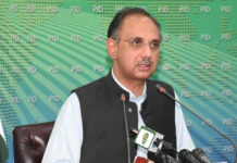 Pakistan to domestically generate 60pc electricity by 2030: minister