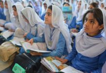 4pc of GDP should go to education, disrespectful material removed from syllabus: Senate committee
