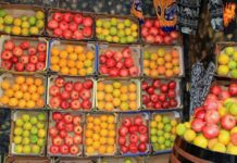 Pakistan earned record $730m revenue, 12.5pc increases in export of fruits, vegetables in FY2019-20