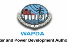 WAPDA writes letter to CPPA asking to clear Rs221b in dues