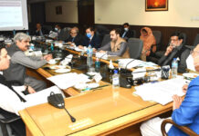 Subgroup constituted to streamline data sharing between NADRA, FBR