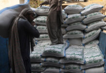 TCP evaluating bids to buy 170,000 tonnes of wheat