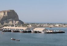 Business community urged to explore investment opportunities in Gwadar