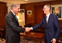 Pakistan, China committed to early completion of CPEC 2nd phase: FM