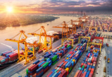 Govt abolishes customs, regulatory duties on 163 tariff lines