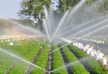 With water scarce, Pakistan helps farmers grow more with less