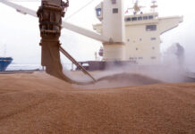 Another ship carrying 65,000MT wheat reaches Pakistan