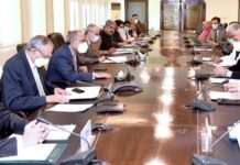 Govt following macroeconomic fundamentals to achieve inclusive growth: Hafeez Shaikh