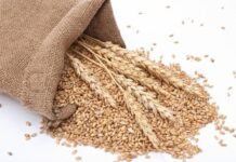 TCP, private sector allowed to import wheat