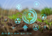 Why did KPMG resign as Agritech’s auditors?