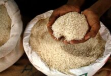 Pakistan risks damage to export as India applies for GI tag to basmati in EU