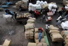 Indian economy projected to contract 11.8pc YOY: Fitch