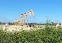 Oil slides over 3pc to lowest since June on demand fears
