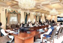 Federal cabinet declines ratification of 799 illegal appointments
