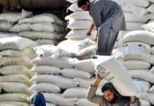 Importers warn of higher sugar prices