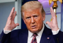 Trump frequently evaded federal income taxes in years leading up to presidency: NYT