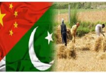 ‘Pak-China agro-industrial cooperation gaining momentum under CPEC’