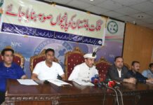 Provincial status for GB key to CPEC’s success
