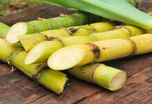 Punjab govt sets sugarcane price at Rs200 per maund