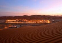 Sole survivor? Saudi Arabia doubles down on oil to outlast rivals