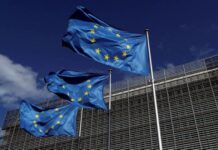 EU wins tariff clearance on $4bn of US imports in Boeing case
